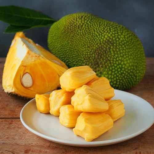 Aroy-D Jackfruit in Syrup 565g Can
