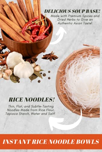 Simply Food Instant Phnom Penh Noodles 9 Bowls