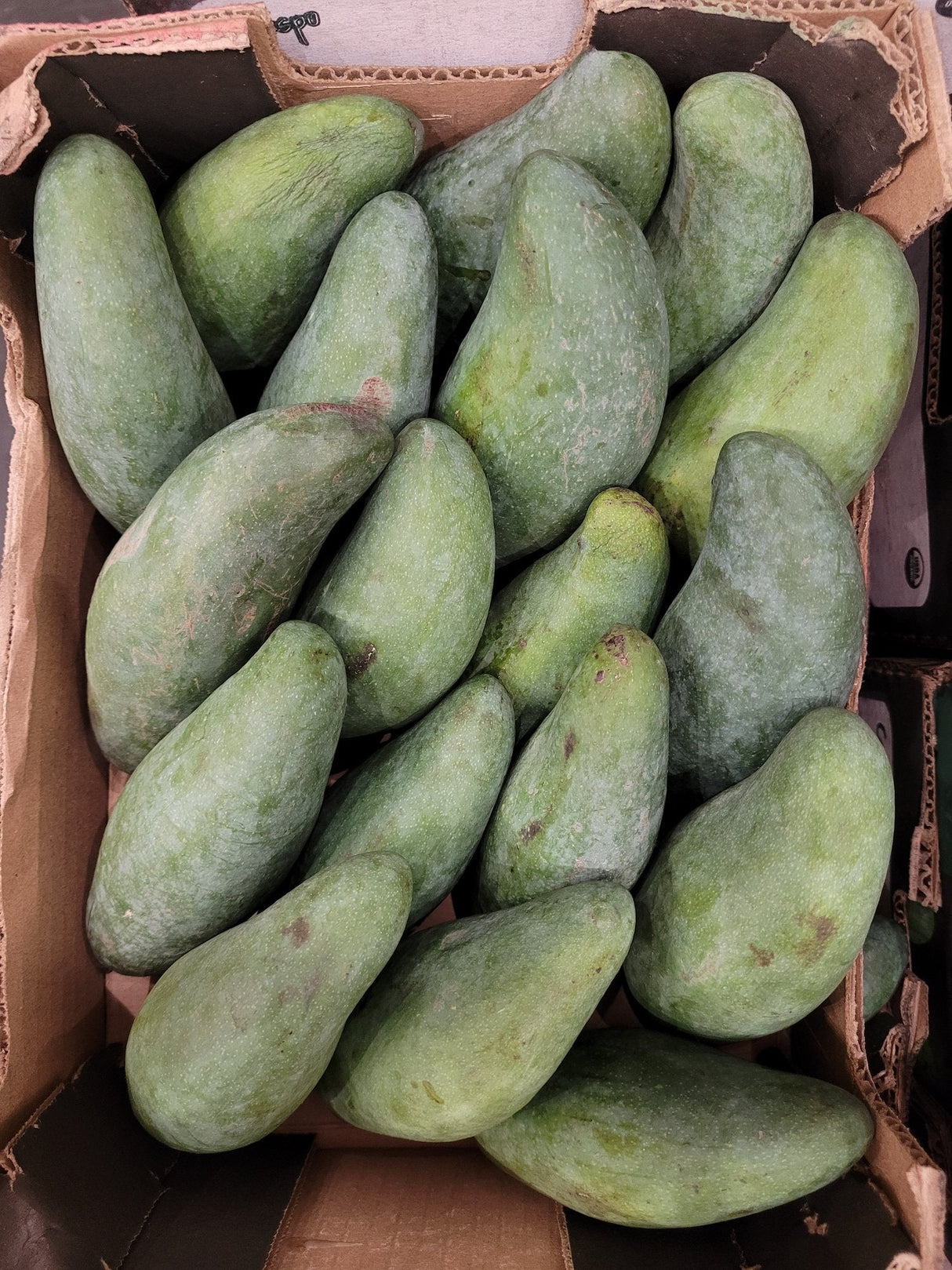 Fresh Thai Mango 1-2LBS