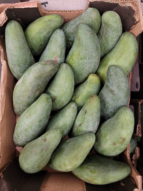 Fresh Thai Mango 1-2LBS