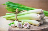 Fresh Thai Lemongrass 8–12 Stalks