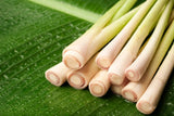 Fresh Thai Lemongrass 8–12 Stalks