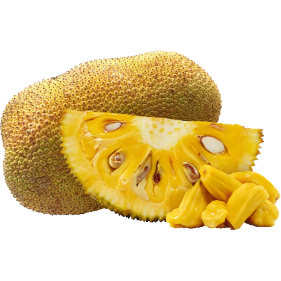 Fresh Whole Jackfruit 20-25 lb